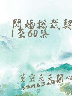 闪婚总裁契约妻1至60集