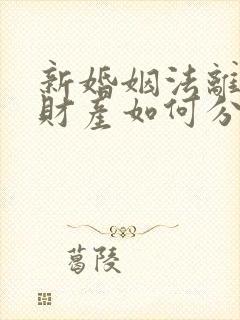 新婚姻法离婚后财产如何分割