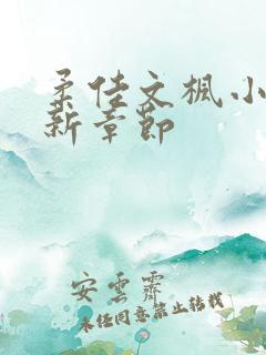 柔佳文枫小说最新章节