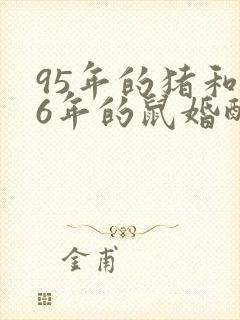 95年的猪和96年的鼠婚配