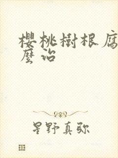 樱桃树根腐病怎么治