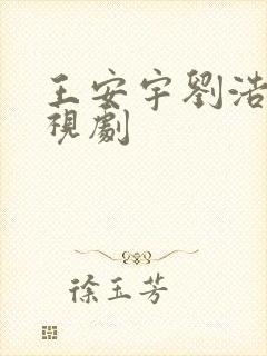 王安宇刘浩存电视剧