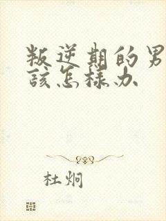 叛逆期的男孩子该怎样办