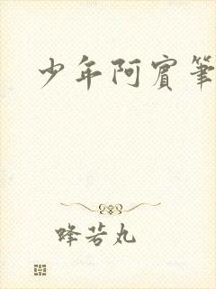 少年阿宾笔趣阁