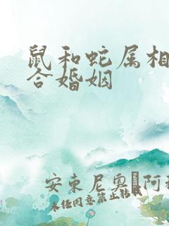 鼠和蛇属相合不合婚姻