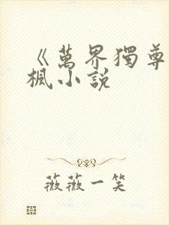 《万界独尊》林枫小说
