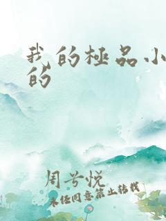 我的极品小姨我的