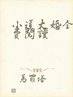 小道大婚全文免费阅读