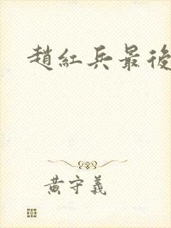 赵红兵最后结局