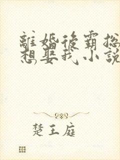 离婚后霸总天天想娶我小说免费阅读