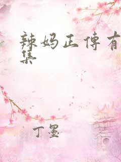 辣妈正传有多少集