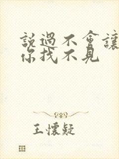 说过不会让我把你找不见