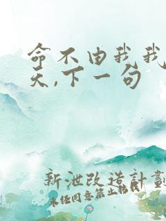 命不由我我不由天,下一句