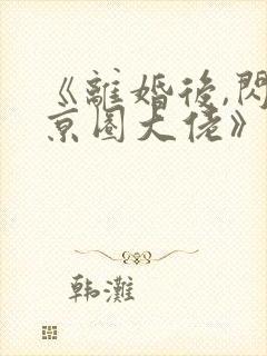 《离婚后,闪婚京圈大佬》小说的基本