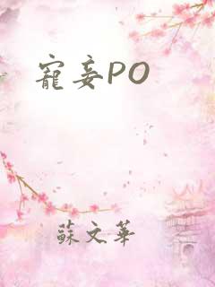 宠妾PO