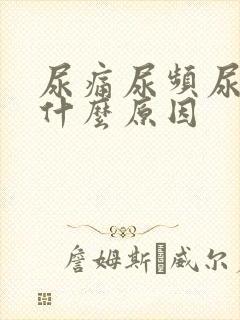 尿痛尿频尿血是什么原因