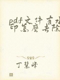 pdf文件有水印怎么去除