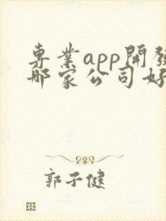 专业app开发哪家公司好