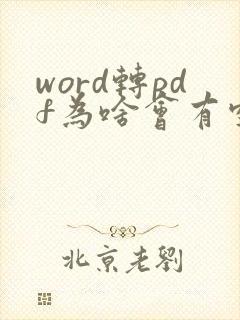 word转pdf为啥会有空白页