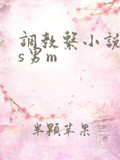 调教系小说,女s男m