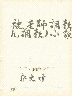 被老师调教(高h,调教)小说