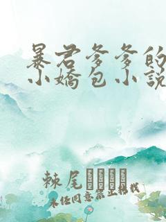 暴君爹爹的团宠小娇包小说免费听书