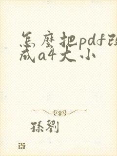 怎么把pdf改成a4大小