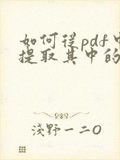 如何从pdf中提取其中的几页