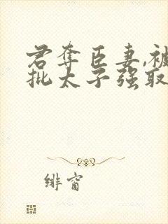 君夺臣妻,被疯批太子强取豪夺桑窈
