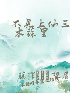 不见上仙三百年 木苏里