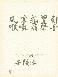 风寒感冒引起的喉咙痛声音哑吃什么药