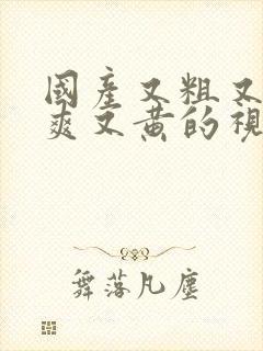 国产又粗又猛又爽又黄的视频99