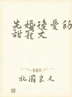 先婚后爱的古言甜宠文