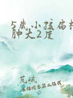 5岁小孩扁桃体肿大2度