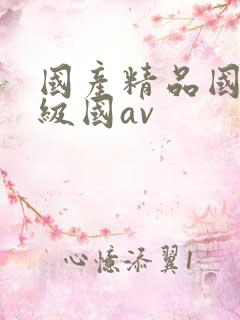 国产精品国产三级国av