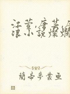 江萱,唐芸,唐浪小说灿烂狂浪