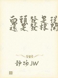 白头发是从发梢还是发根开始的