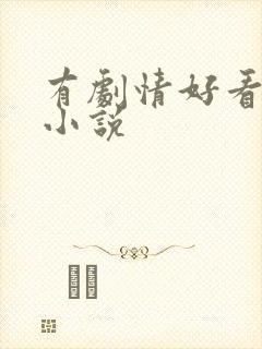 有剧情好看的h小说