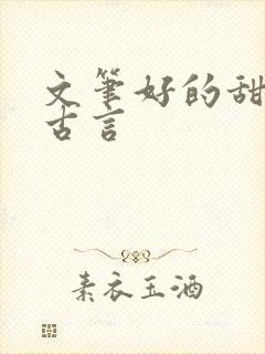 文笔好的甜宠文古言