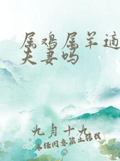 属鸡属羊适合做夫妻吗