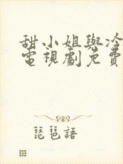 甜小姐与冷先生电视剧免费