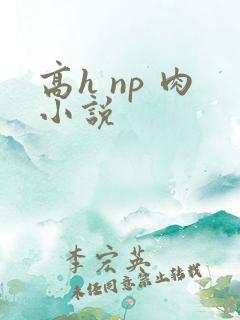 高h np 肉小说