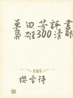 单田芳评书乱世枭雄300清晰