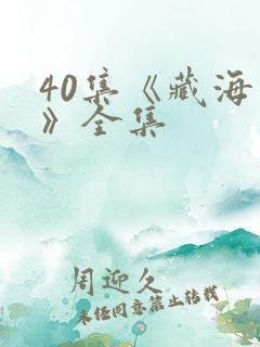 40集《藏海传》全集