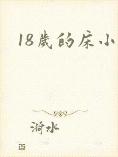18岁的床小说