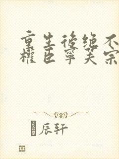 重生后绝不嫁给权臣宁芙宗肆阅读全文