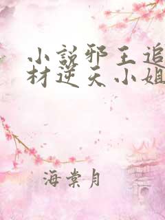 小说邪王追妻废材逆天小姐