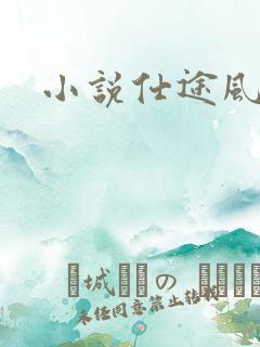 小说仕途风流