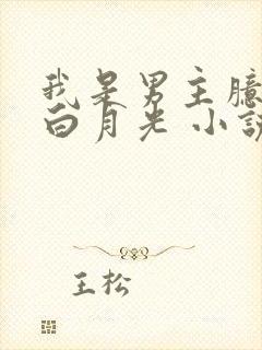 我是男主臆想的白月光 小说