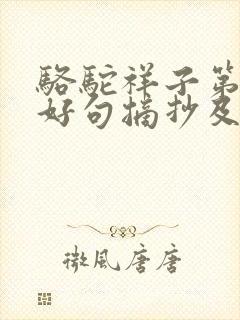 骆驼祥子第4章好句摘抄及感悟